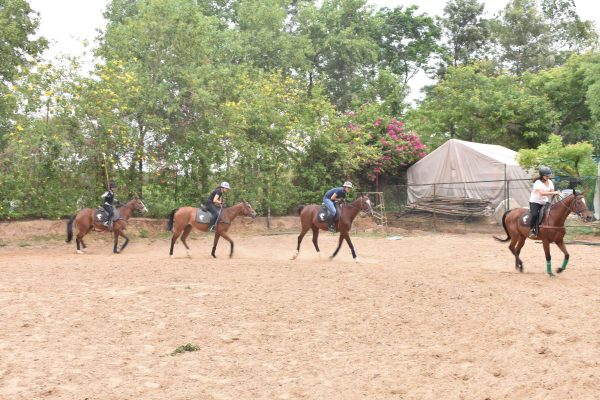 horse riding academy in jaipur