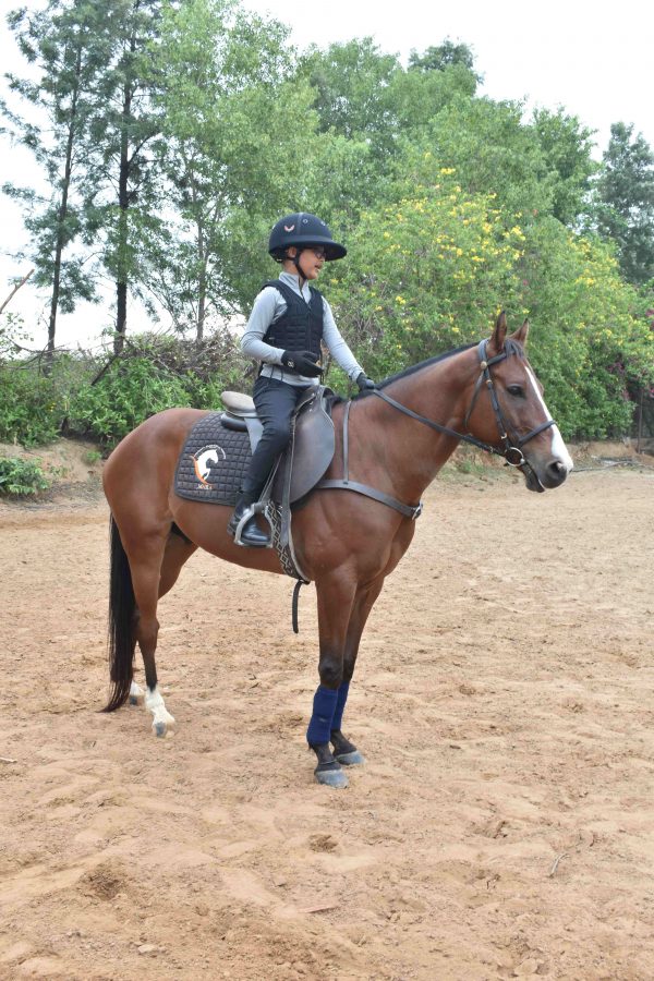 horse riding academy in jaipur